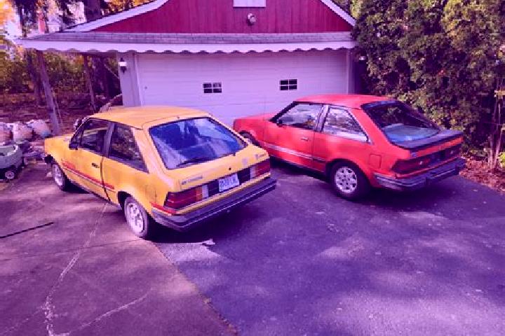 escort Ellenberg