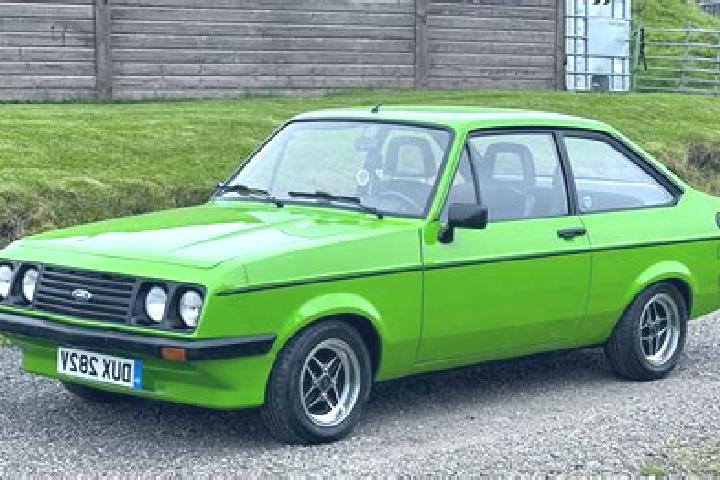 escort Elliston