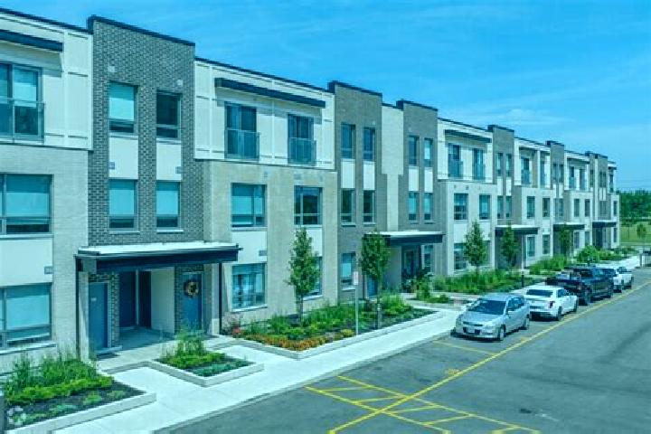 escort Elms-Old Rexdale