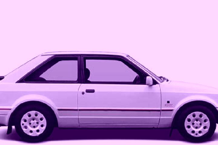 escort Elsendorp