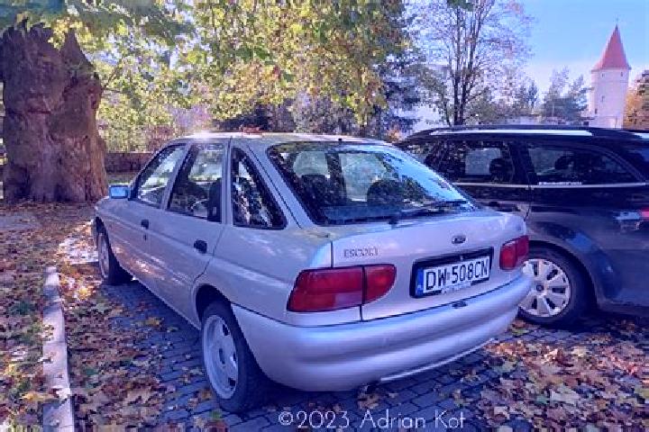 escort Elyakhin