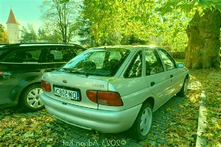 escort Elzach