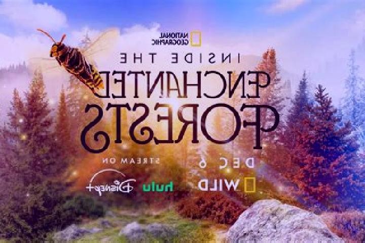 escort Enchanted Hills