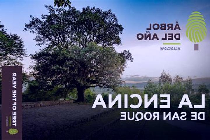 escort Encina de San Silvestre