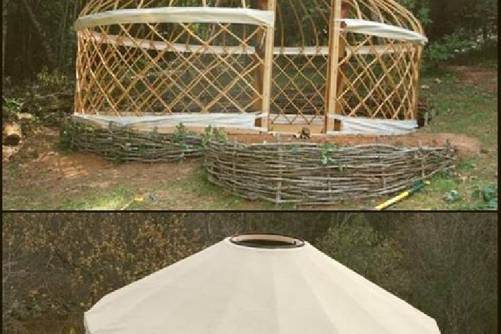 escort Engel -Yurt