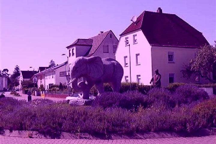escort Enkenbach-Alsenborn