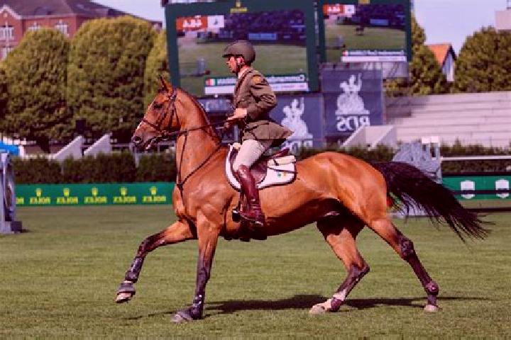 escort Enner Glynn