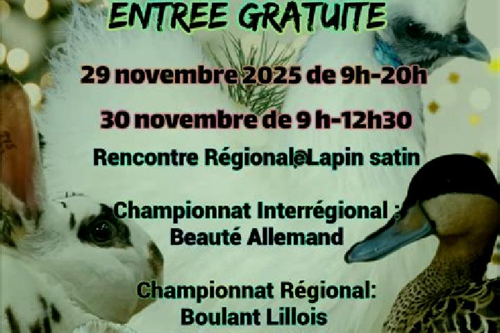 escort Enquin-les-Mines