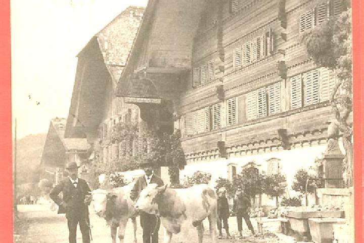 escort Erlenbach im Simmental