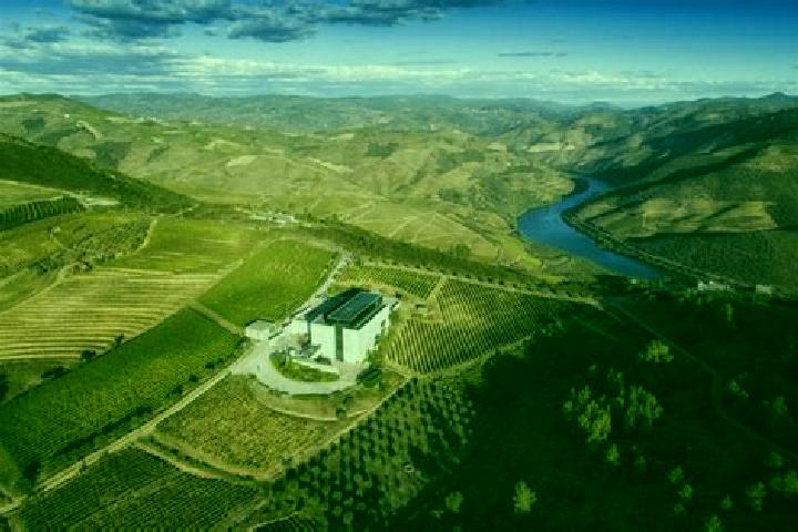 escort Ervedosa do Douro