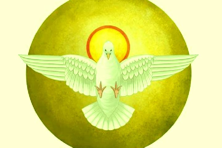 escort Espiritu Santo