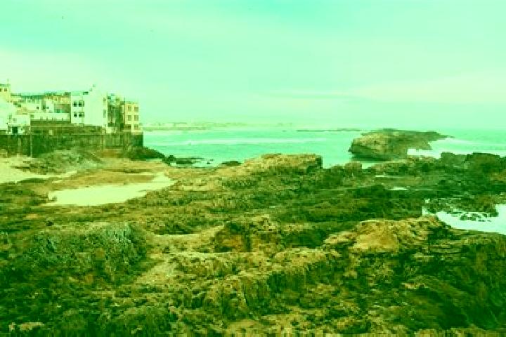 escort Essaouira