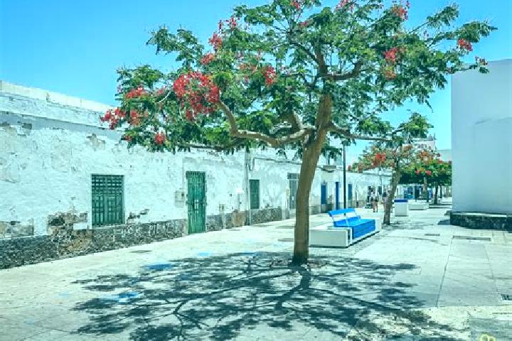 escort Estacion Corralejo