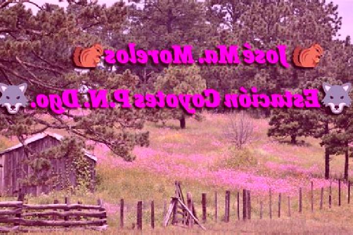 escort Estacion Coyotes (Jose Maria Morelos)