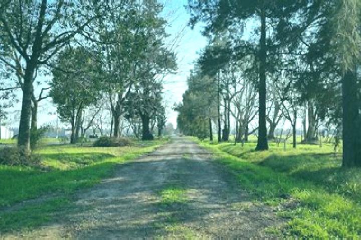 escort Estancia Vieja (San Jose la Estancia)