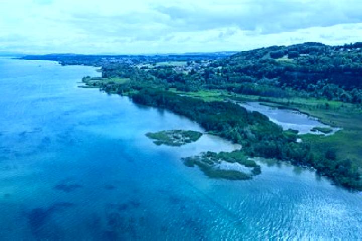 escort Estavayer-le-Lac