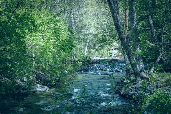 escort Etna Creek