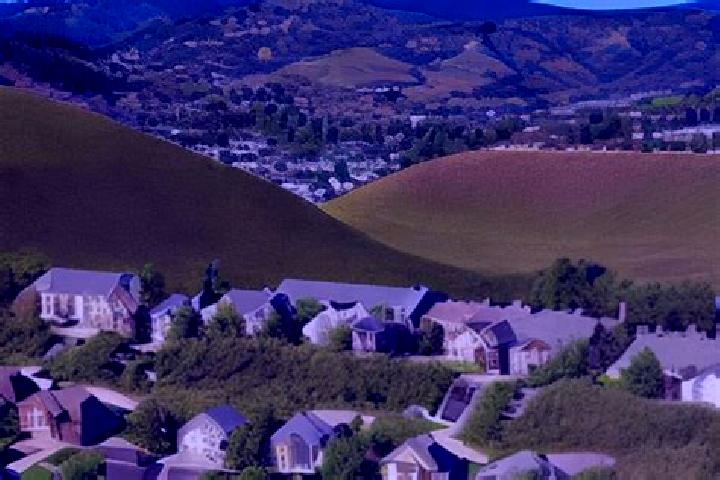 escort Eucalyptus Hills