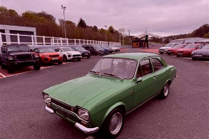 escort Evergreen