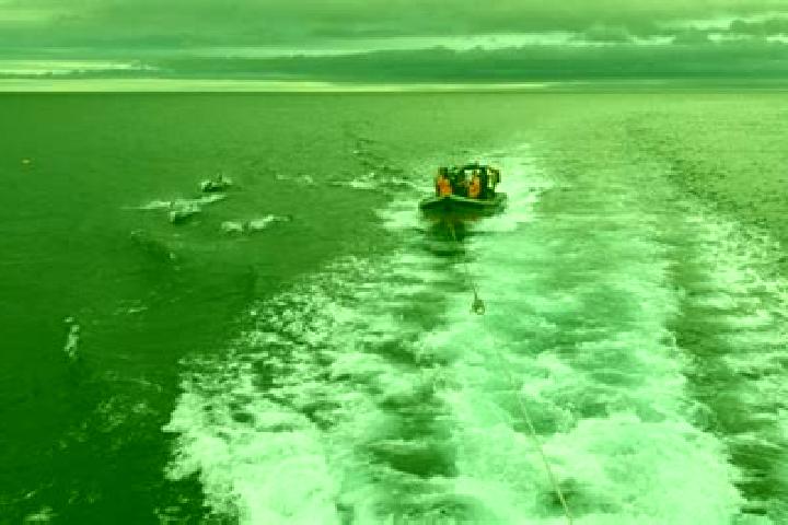 escort Eyemouth