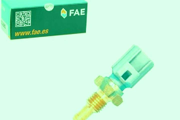 escort Fae
