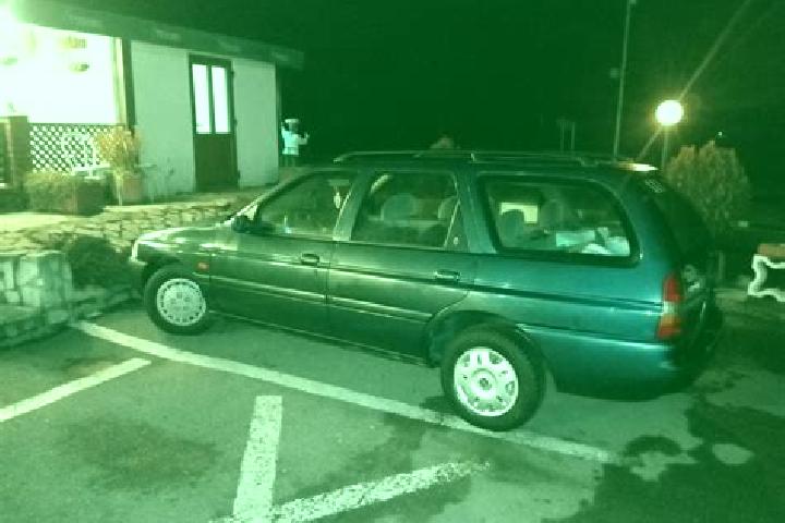 escort Fagaras
