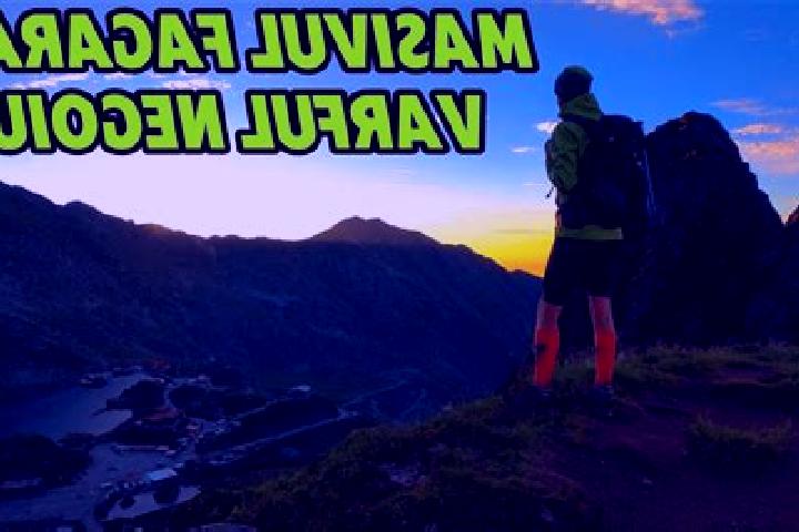 escort Fagarasu Nou