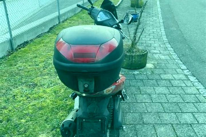 escort Fahrweid (suedl. Teil)