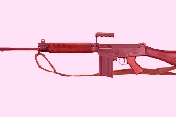 escort Fal