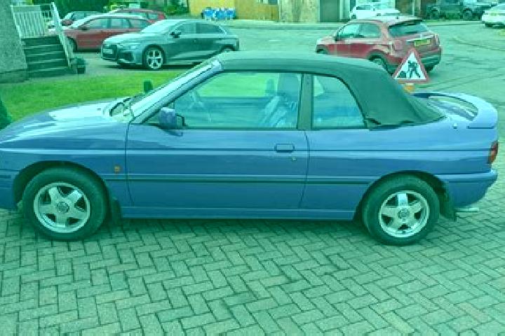 escort Falfield