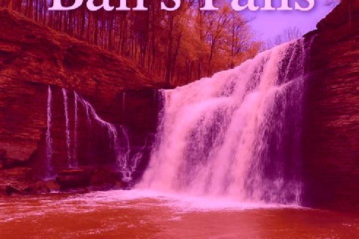 escort Falls Church