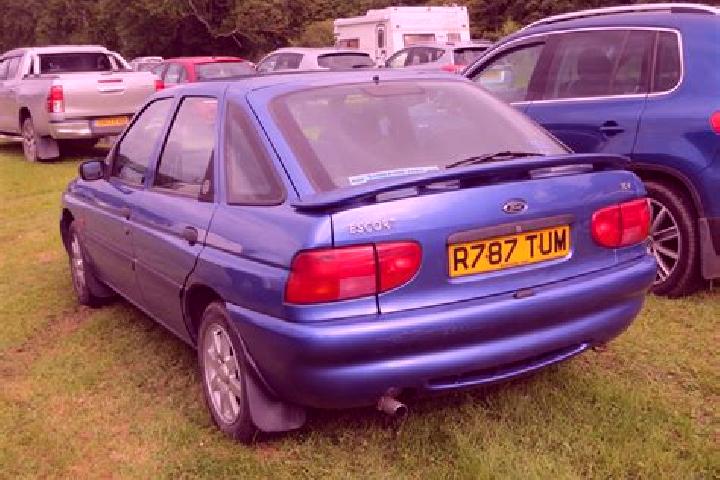escort Fanzolo