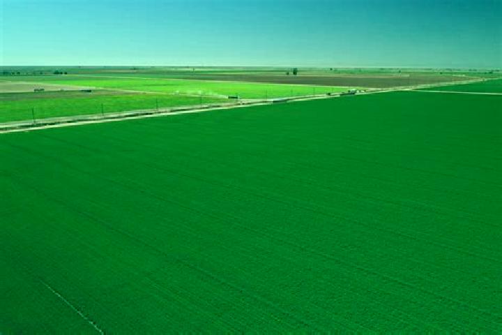 escort Farmland