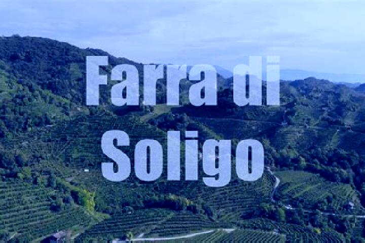 escort Farra di Soligo