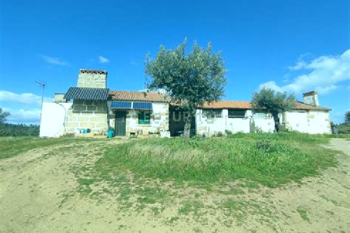 escort Fazendas de Almeirim