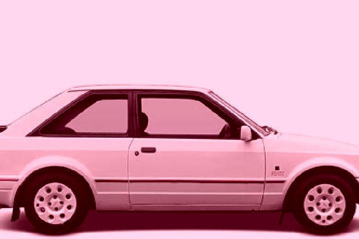 escort Fenegro