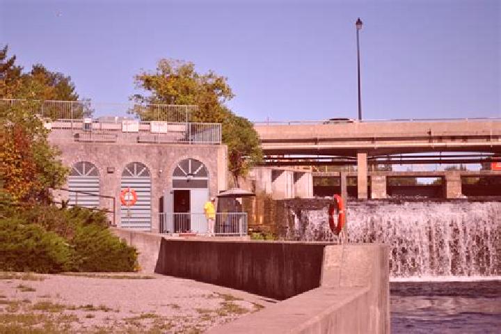escort Fenelon Falls