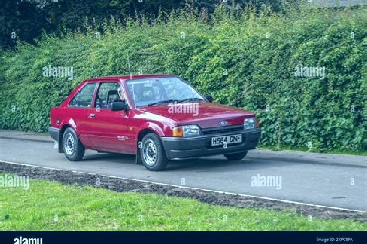 escort Fengman