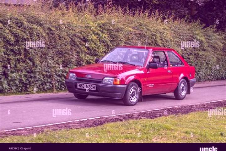 escort Fengyuan