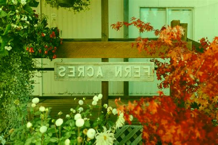 escort Fern Acres