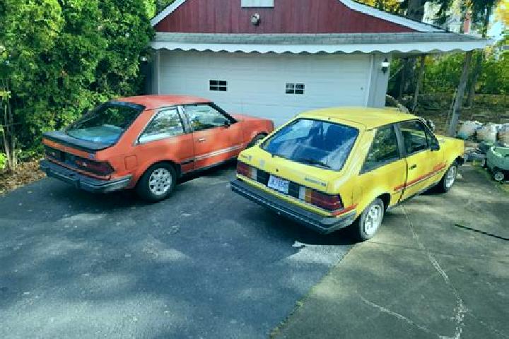 escort Fernie
