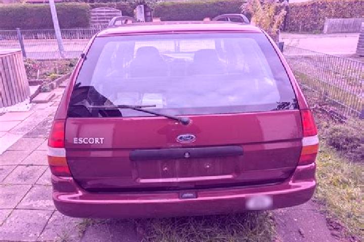 escort Feucht