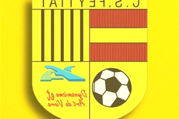 escort Feytiat