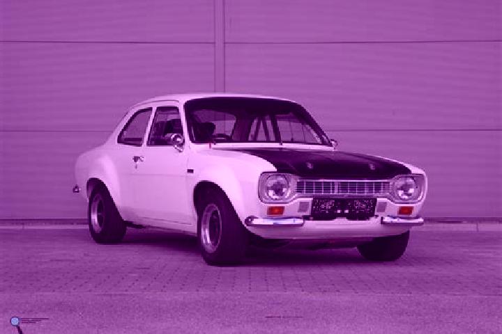escort Fintesti
