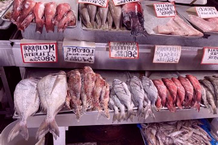 escort Fish Town