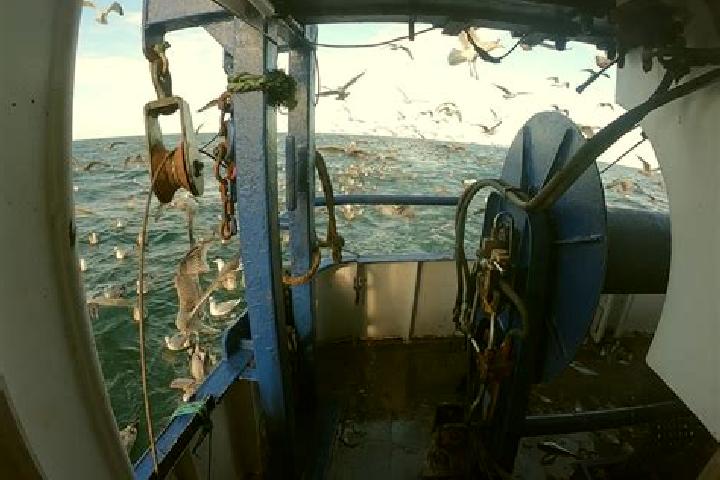 escort Fishers