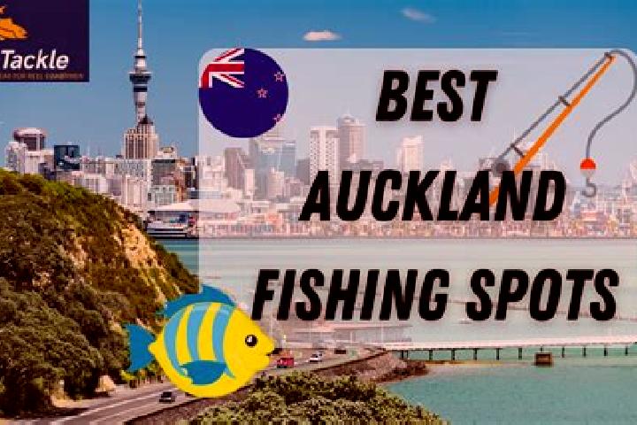 escort Fishing Point