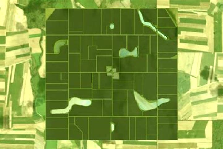 escort Flatlands