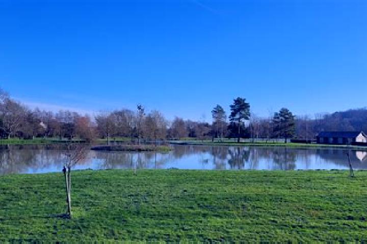 escort Flere-la-Riviere