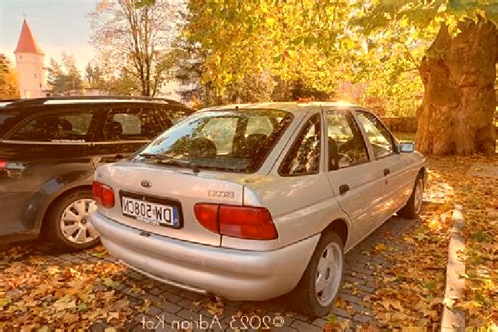 escort Flessau